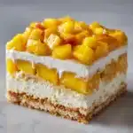 Mango Float Easy Recipe