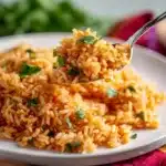 Spanish Rice Recipe