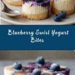 Blueberry Swirl Yogurt Bites Recipe