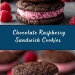 Chocolate Raspberry Sandwich Cookies Recipe