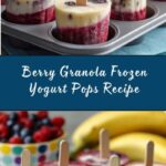 Frozen Yogurt Pops Recipe