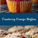 Cranberry Orange Muffins Recipe