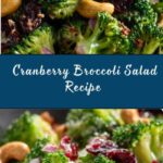 Cranberry Broccoli Salad Recipe