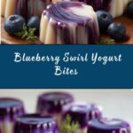 Blueberry Swirl Yogurt Bites Recipe