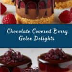Chocolate Enrobed Berry Gelee Delights Recipe