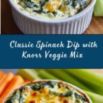 Classic Knorr Spinach Dip Recipe