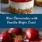 Mini Cheesecakes with Vanilla Wafer Crust Recipe