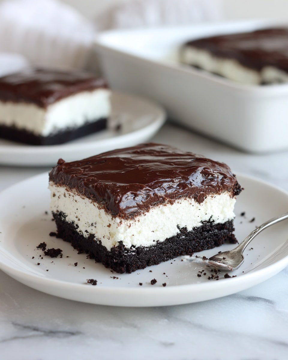 Mississippi Mud Cake Recipe - Recipe Image