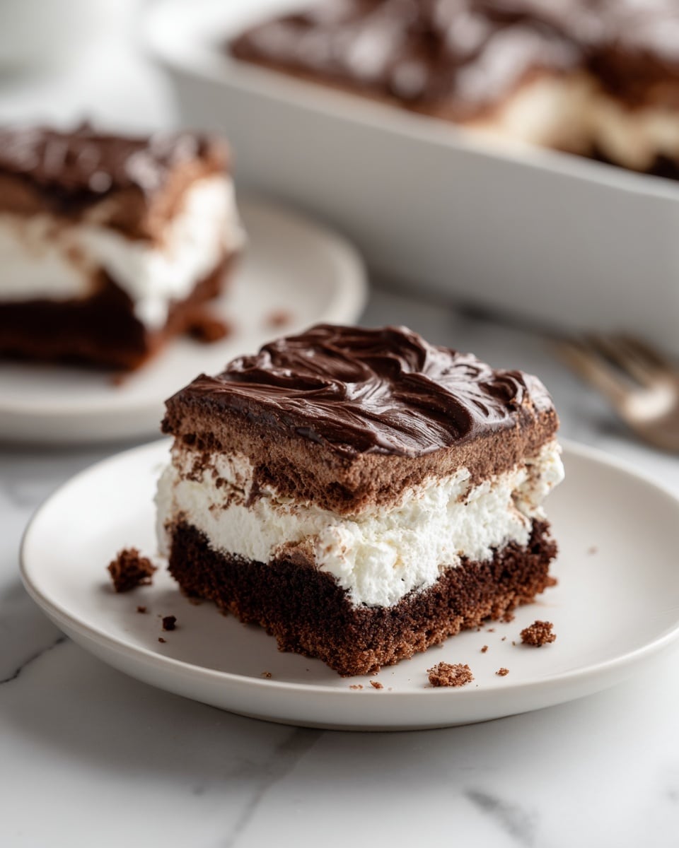 Mississippi Mud Cake Recipe - Recipe Image