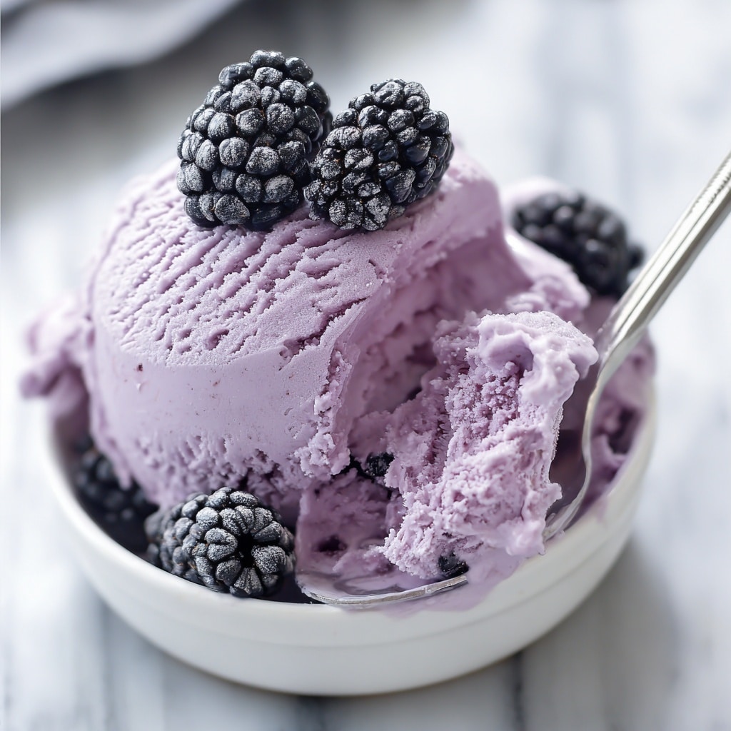 Keto Blueberry Cheesecake Protein Ice Cream Recipe - Recipe Image