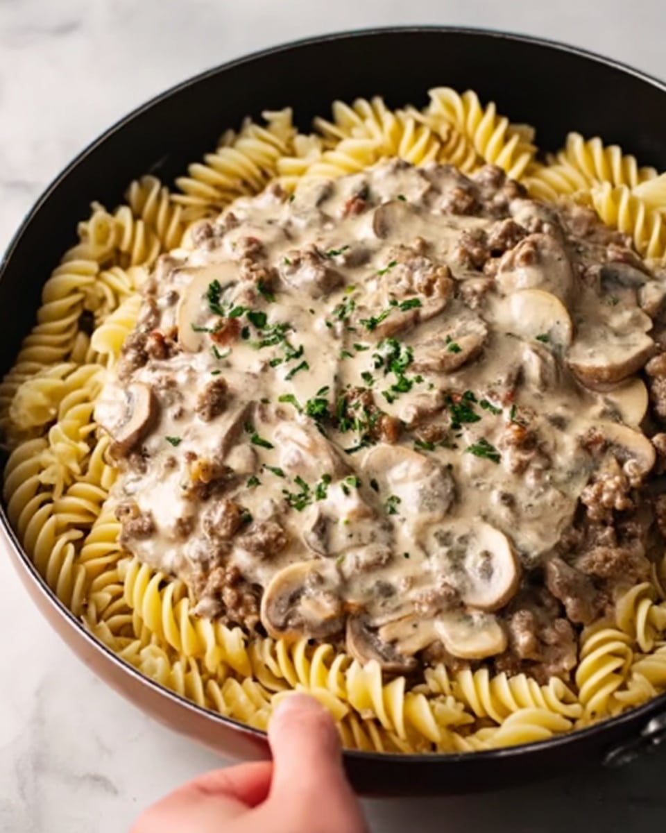 Ground Beef Stroganoff Recipe - Recipe Image